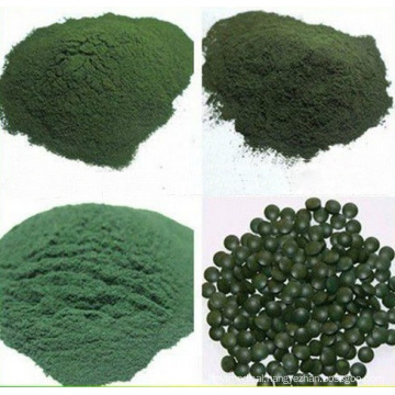 Organic Spirulina (XT-FL393)